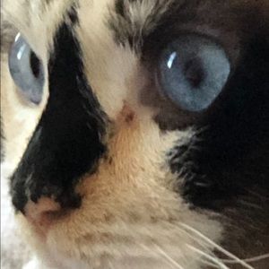 Meet your Posher, Debra